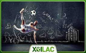 Xoilac-tv.one - Thả hồn vào thế giới sôi động của bóng đá